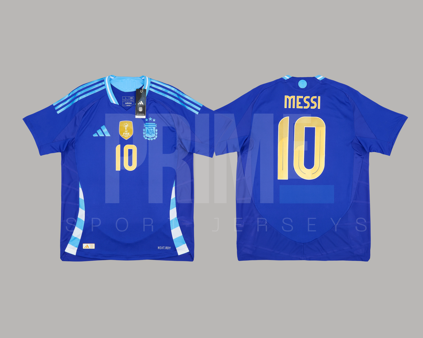 Argentina 2024 visita versión jugador