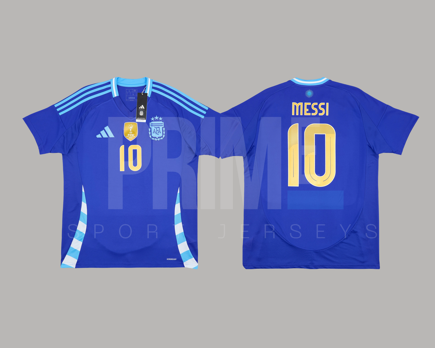 Argentina 2024 visita versión aficionado