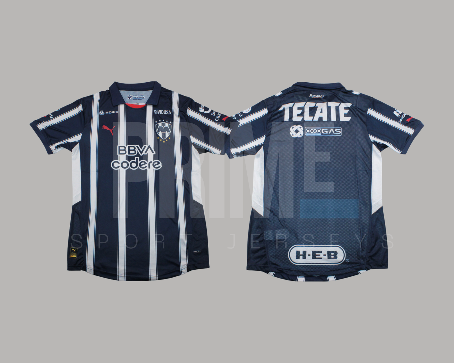Rayados de Monterrey 2024/25 local versión jugador