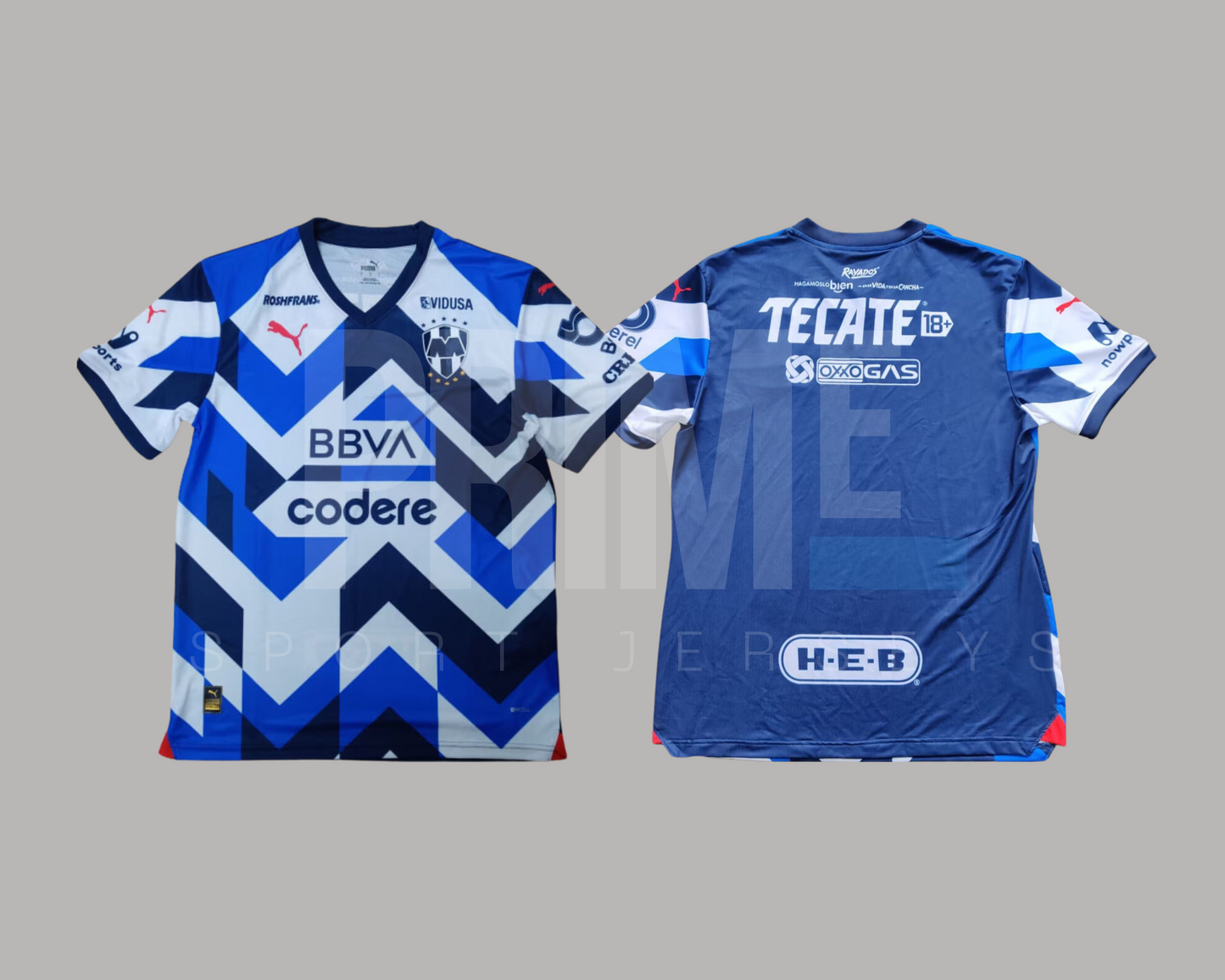 Rayados de Monterrey 2023/24 tercera versión aficionado