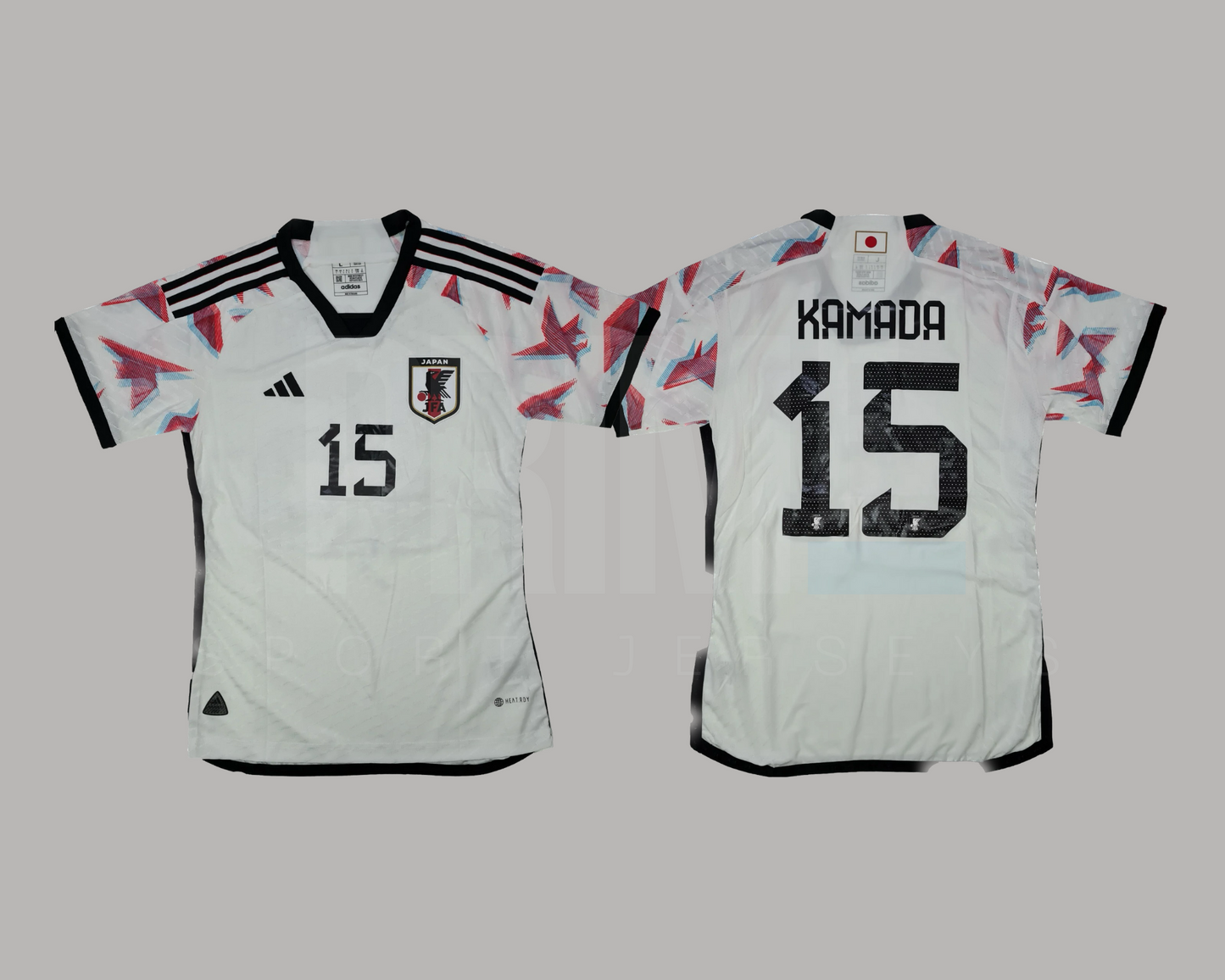 Japón 2022 visita versión jugador