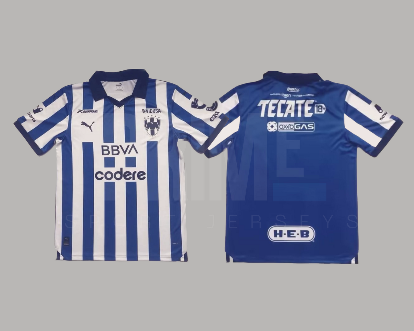 Rayados de Monterrey 2023/24 local versión jugador