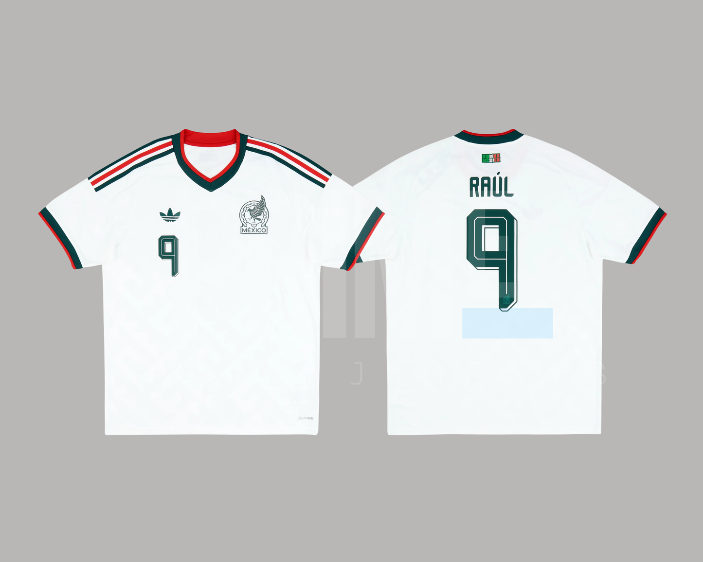 México 2026 visita versión aficionado