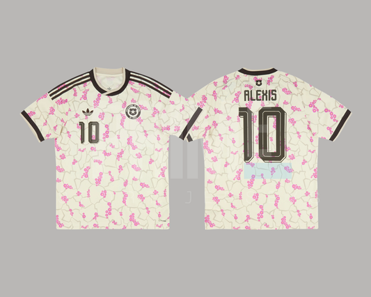 Chile 2026 visita versión aficionado