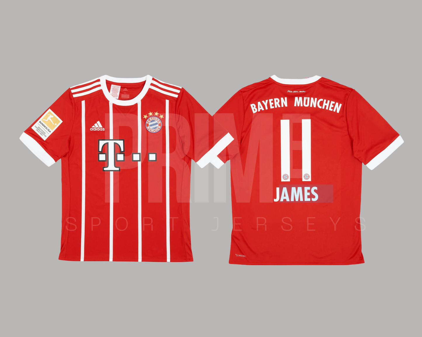 Bayern Munich 2017/18 local