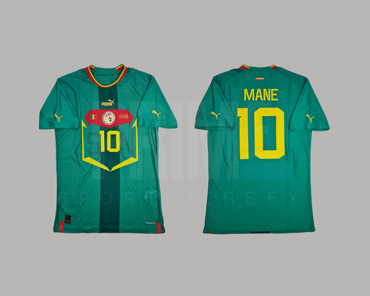 Senegal 2022 visita versión jugador