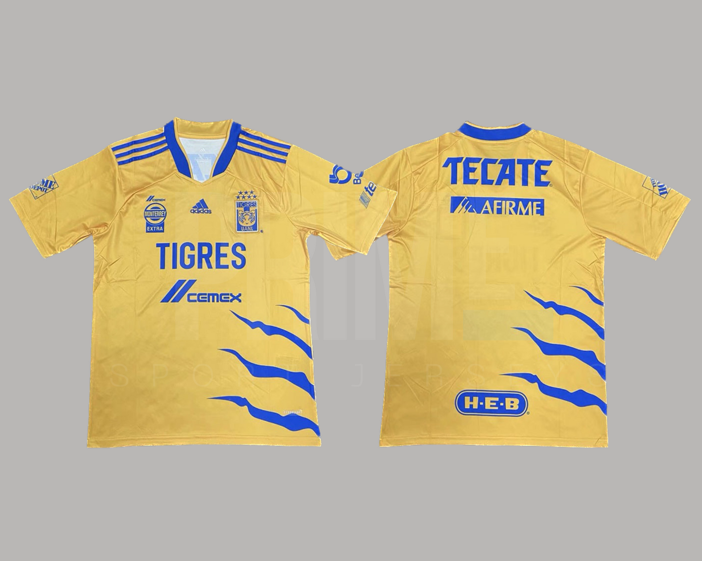 Tigres 2021/22 local